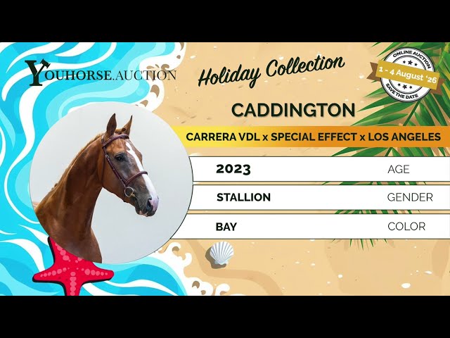 Caddington