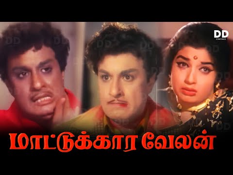 Mattukkara Velan - Tamil Movie | MGR |  Jayalalithaa | Lakshmi | #ddcinemas #ddmovies