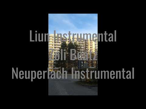 11. Liun Instrumental / Zoli Beatz - Neuperlach (Instrumental)