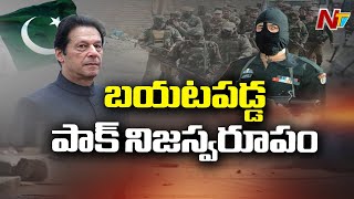 పాకిస్తాన్ నిజస్వరూపం మరోసారి బయటపడింది … ! | Imran Khan Accept Fact On Mujahidin