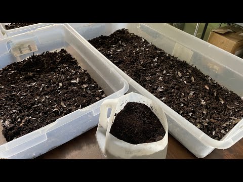 Harvesting Castings During Breeder Bin Reset! Maximizing Time Value