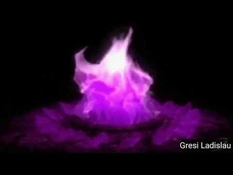 Decreto para quebra do Contrato de Alma