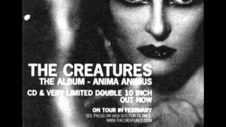 Creatures - Don&#39;t Go To Sleep Without Me