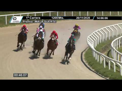 201120 c01 - PEREGRINA - HIPODROMO LAS PIEDRAS