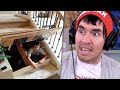 peOL1cVdj5I/default.jpg