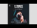 Big Zulu Mduduzi Ncube Siya Ntuli Tribute To Our Friend Brother Lala Ngoxolo Official Audio