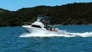 preview picture of video 'Bay of islands fishing charters'