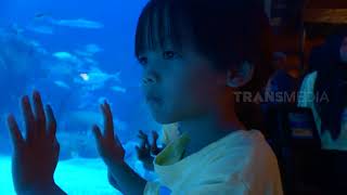 Download lagu AIUEDO MENJELAJAH AQUARIUM RAKSASA | LAPTOP SI UNYIL (01/11/19) PART 4 mp3