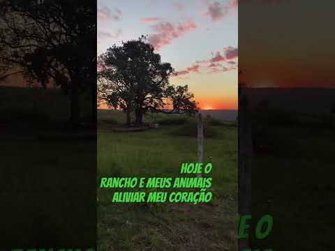 Nítida Presença de Deus #rancho #cavalo #fazenda #rural #cachorros #horse #amoresdaraquelwolff #agro