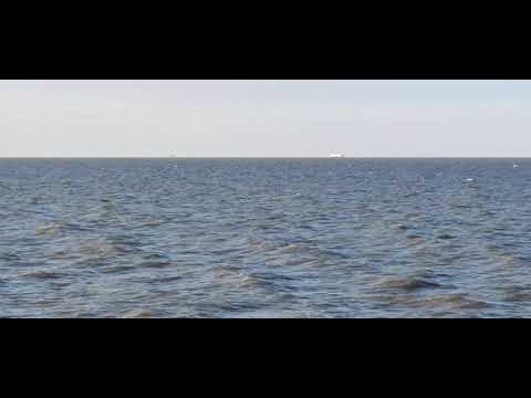 La costa de Dominico en Buenos Aires (no sé que subir en este canal xd)