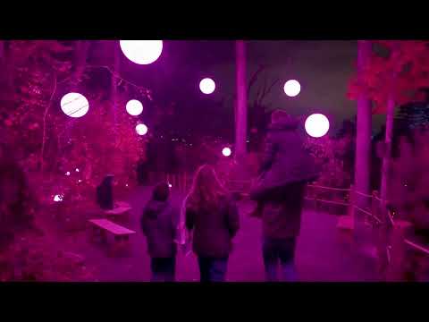 Astra Lumina: An Enchanted Night Walk Amongst The Stars - NEW