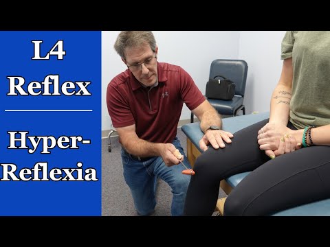 L4 Hyperreflexia - Deep Tendon Reflex