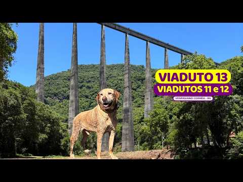 😱ATENÇÃO! CUIDADO com o GPS | Viadutos 11, 12 e 13 | Ferrotrekking | Vespasiano Corrêa