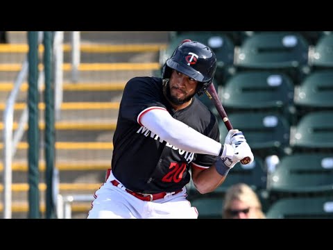 Emmanuel Rodriguez 2024 Minor League Highlights!