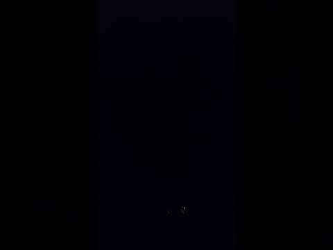 Conversa com um Morepork! (Coruja)