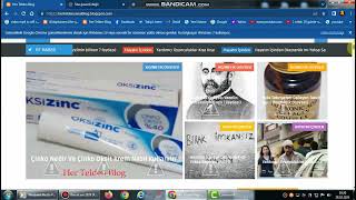 Blogger, Google Destekli Web Sitesi ( Her Telden ) Blog Tanıtım