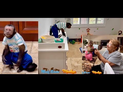 Affen rennen und spielen in meinem Haus herum…🤭🤨 Außerdem: Angelikas Update 😍