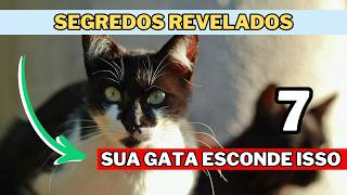 7 FATOS INCRIVEIS Sobre GATAS Que Você NÃO SABIA! (É SURPREENDENTE)