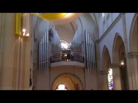 Orgelkonzert in Mettingen mit Vincent de Vries