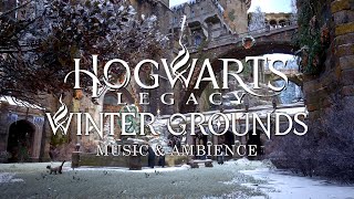 Hogwarts Legacy - Winter Grounds at Hogwarts - Calming Harry Potter Music & Fall Ambience