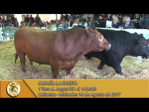 16-08-17 Venta de Toros PP - La Rubeta - Cañuelas