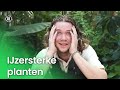 IJzersterke planten | Plantastisch