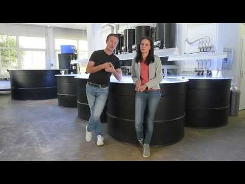 Modern Koi Blog #484 - Eisfreihalter