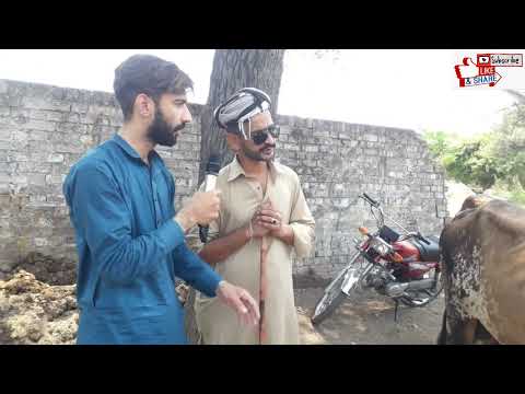 Naseera Bakara Mandi