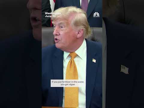 Trump says vandalism responsible for Reflecting Pool damage