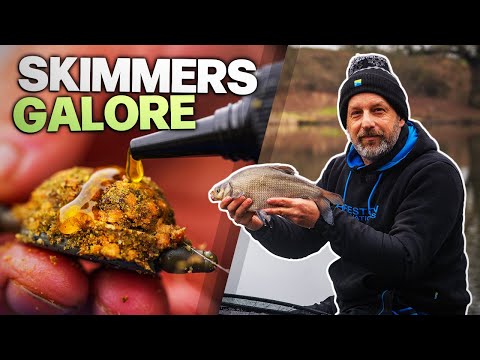 Catching Skimmers on The Method Feeder in Winter