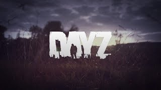 DayZ побила свой прежний рекорд по количеству одновременных игроков Steam