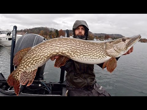 Spinning for Big Pike on Lake Maggiore