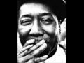 Muddy Waters-I Love the Life I Live