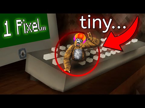 Gorilla Tag but I'm 1 PIXEL BIG... ($30,000)