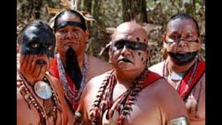 The Cherokee Indians 🦅 Tsalagi