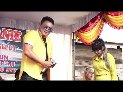 Setia sehidup semati vocal duet Dedy marikit & Silviana Wedding Sarah & David Ariajuaniesounds