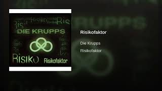 Risikofaktor