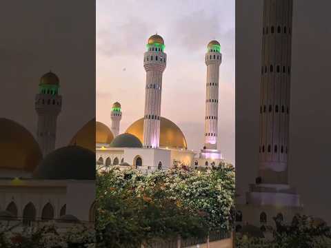 Gamou Tivaouane Diopsina grand mosquée de Tivaouane #grandemosquéedetivaouane