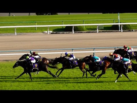 現地映像、フィエールマン（ルメール）が菊花賞制覇。エタリオウまた2着。現地映像、京都競馬場