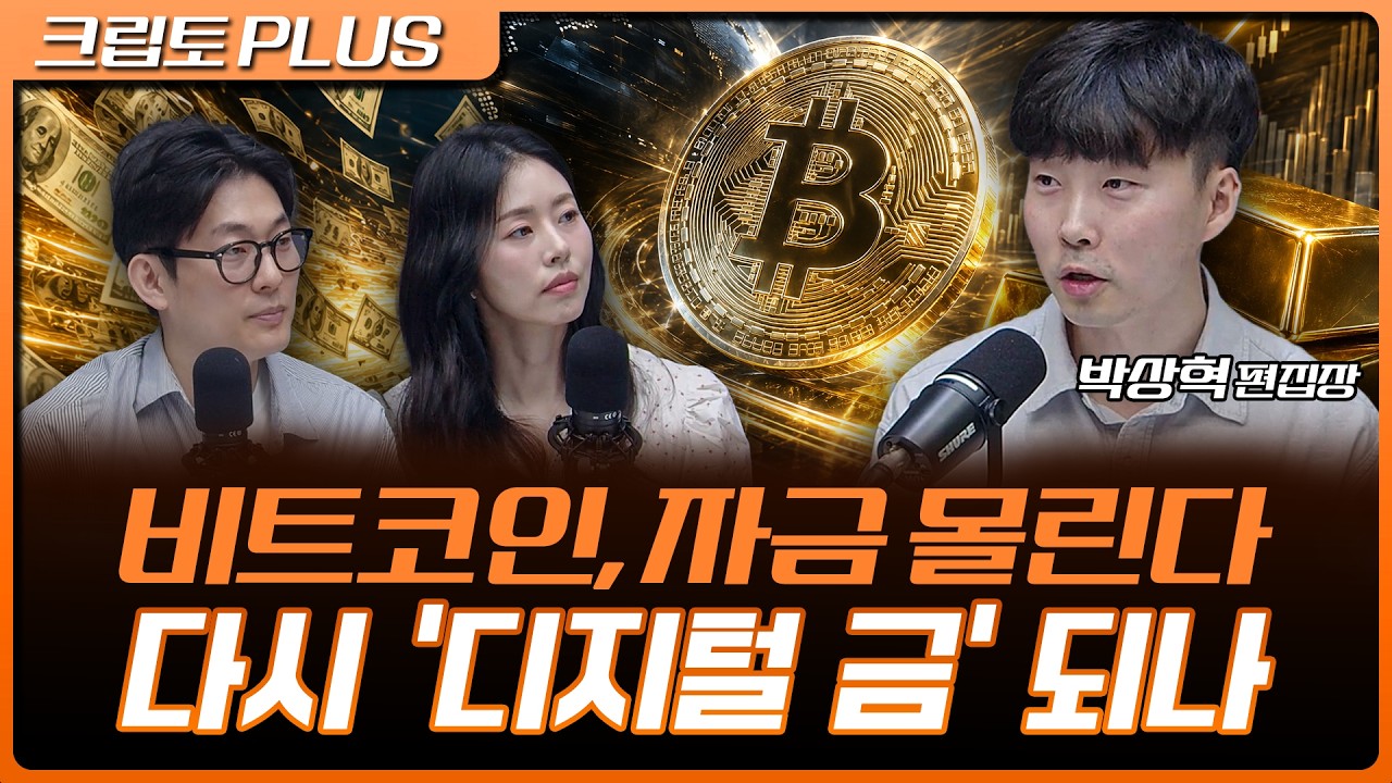 비트코인 자금 유입 급증…클래리티 9월 연기에도 '최악은 피했다' | 서동주, 김동환, 박상혁 디지털애셋 ?