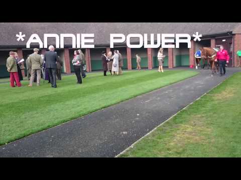 Cheltenham Festival 2014 - Ryanair Chase and World Hurdle Contenders