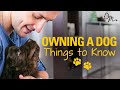 OWNING A DOG Things To Know Before Getting A Puppy Doctor Mike