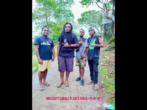 MOSSA FT SMALL PLAN X JUNIA - PLAY UP