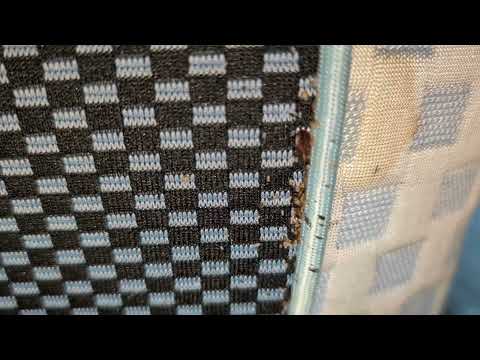 Seam of Mattress Crawling with Bed Bugs in...
