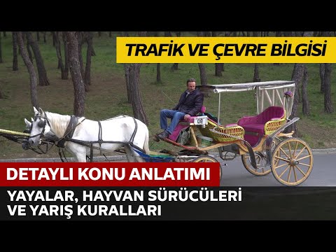 Trafik ve Çevre Bilgisi