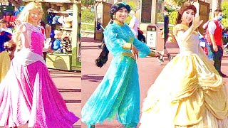 YouTube thumbnail: *EVERY* DISNEY PRINCESS AT DISNEY WORLD!