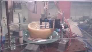 Automated grapefruit slicer