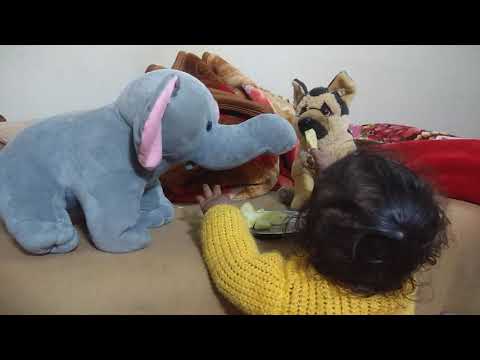 MANEET sharing apple with his pets...