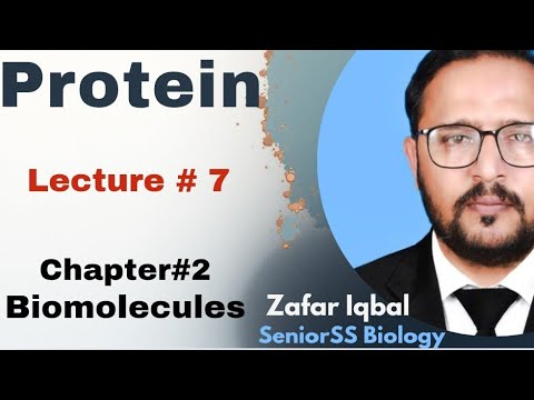 Protein detailed chemistry / First year biology / MDCAT key points
