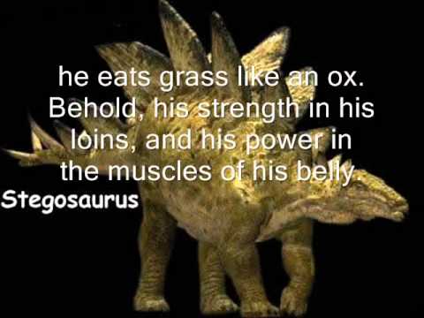 Job 38-42 with Instrumental